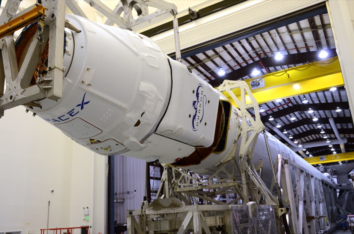 L'Universo di Musk: quando SpaceX smette di essere un'azienda spaziale