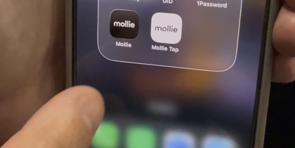 Mollie: the European financial platform that wants to simplify merchants’ lives